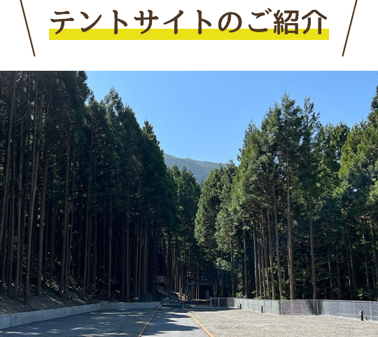 テントサイトのご案内
